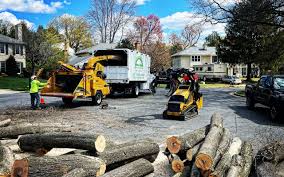Best Lawn Maintenance Plans  in Rutherford, NJ